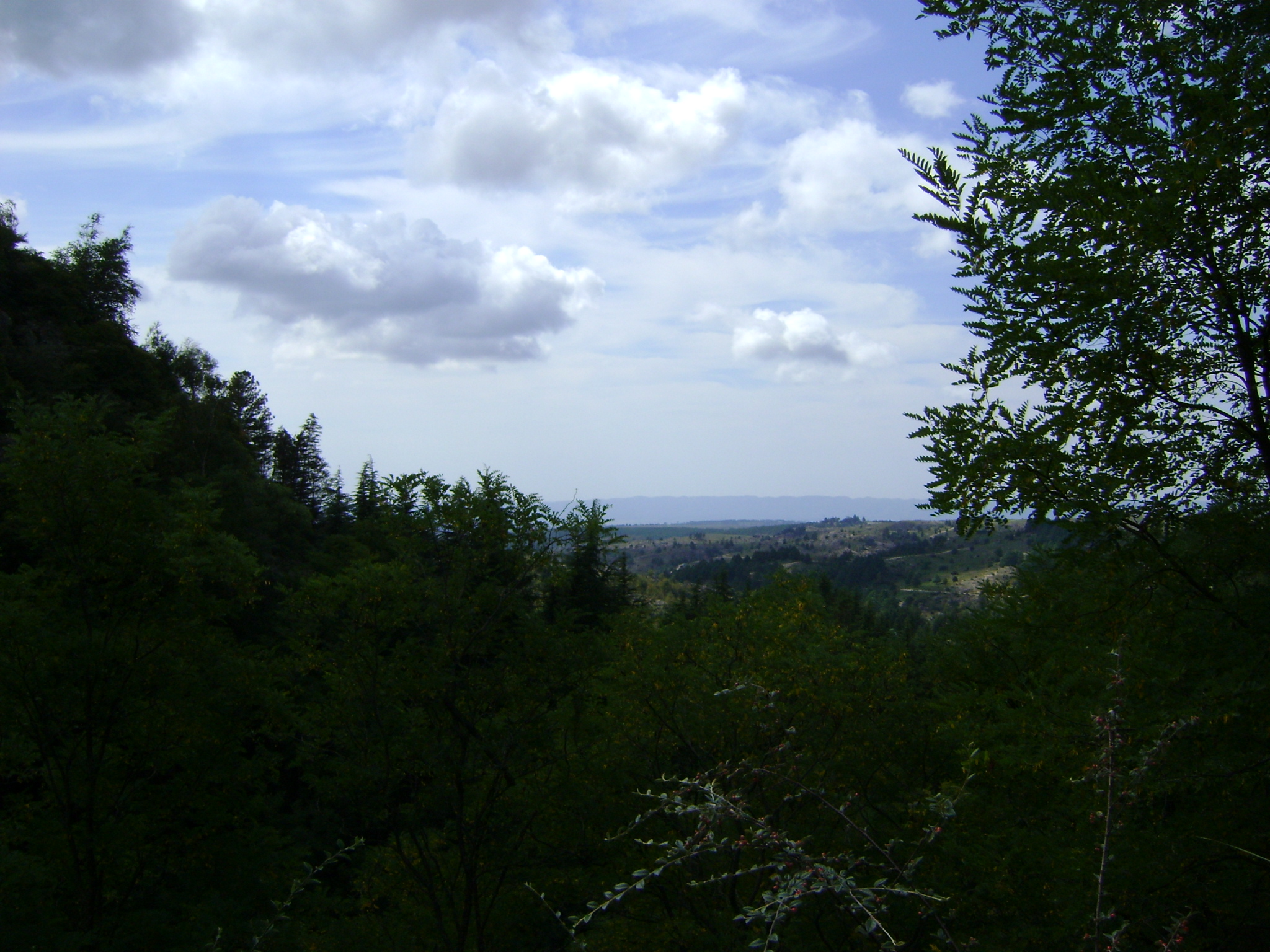 fotos/2011 - Los Reartes/DSC03421.JPG